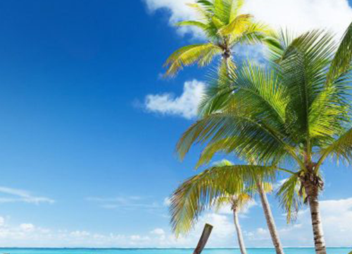 Goa