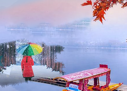 Kashmir